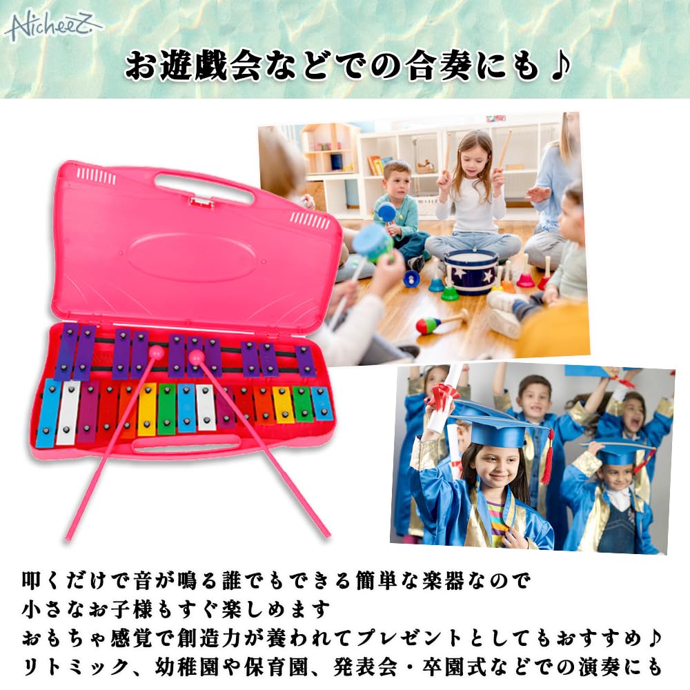Nicheez Glockenspiel Metallophone Educational Instrument with Case Children's (Pink)