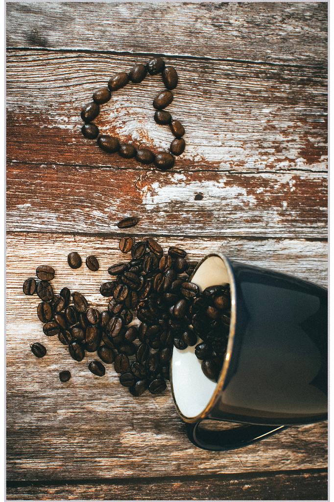 Eliana Home Washable Printed Carpet LNA2100-SD178