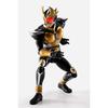 TAMASHII NATIONS SH. Figuren (Shinkochou Seihou) Kamen Rider Agito Grand Form 25th Anniversary Ver. Ungefähr 145mm PVC ABS Bemalt Beweglich