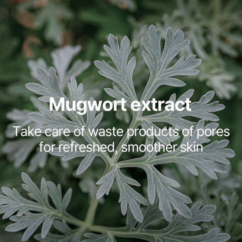 [Pyunkang Yul] Calming Pore Clear Wash Off Pack