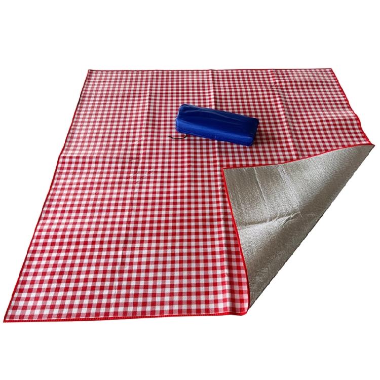Picnic Blanket Handy Mat Beach Rug Mat for Park Picnics Travel Outdoor Concerts