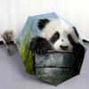 Fantasia panda e erba, ombrello pieghevole automatico, design portatile e pieghevole, 8 stecche, un regalo di Natale o di compleanno.