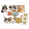 Shishi Cat Tea Tiger Katan Magnetic Sticker, Weather Resistant, Resistant, 3.5 Inches (9 Cm)