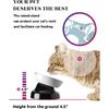 Y YHY Ceramic Cat Slow Feeder, Elevated Dog Food Bowl Tilted Design, Slow Feeder Bowl No Black Chin, Cat Shape for Dry and Wet Food