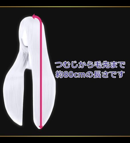 CaseEden Cosplay Wig, Premium, Smooth, Straight, Long, 80cm, Pure White, WIG6166
