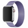 Toepasbare Magnetische Milanese Band voor Apple Watch Series 8/7/6/SE/5/4/3/2 en iWatch