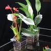 K1AE Aquarium Aquatic Plant Pots for Home Aquariums Easy Install Sustainable Choice for Enriching Your Underwater Landscape