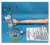 Intramuscular Injection & Phlebotomy Training Arm Model for Nurses