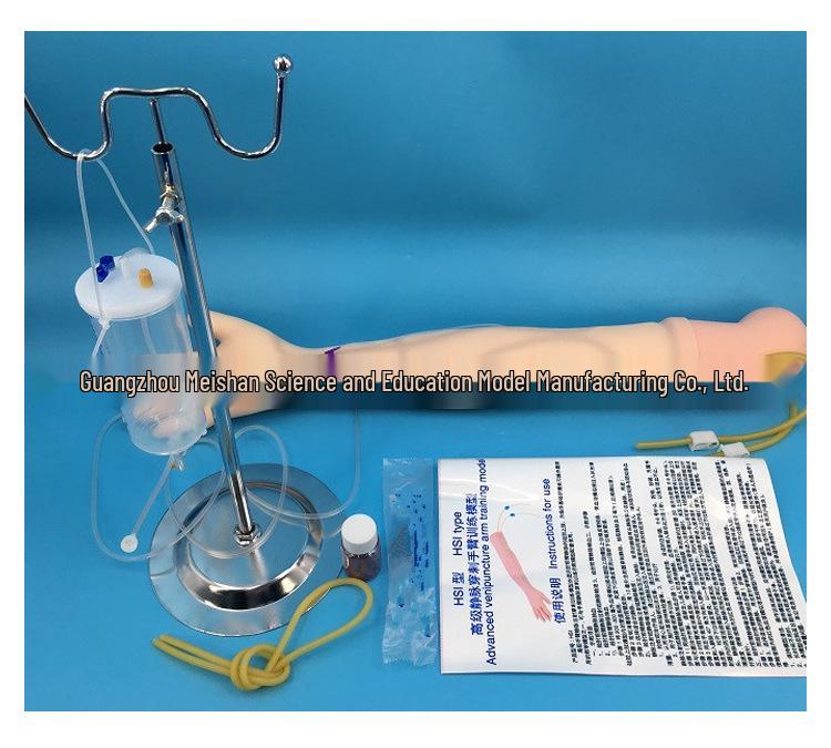 Intramuscular Injection & Phlebotomy Training Arm Model for Nurses