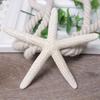 Starfish Starfish Fixing Curtain Tie Natural Curtain Buckle Starfish Curtain Tie Rope  Bedroom