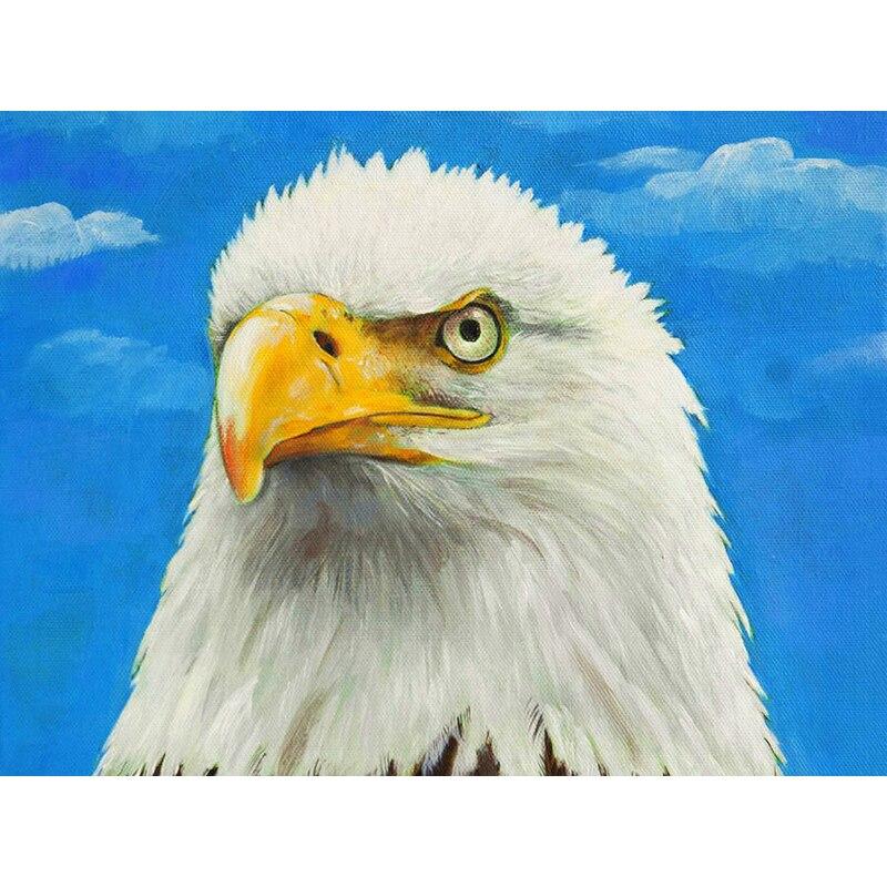 New 5D DIY Diamond Painting Eagle Head Diamond Embroidery Animal Cross Stitch Full Round Drill Home Decor Manual Art Gift