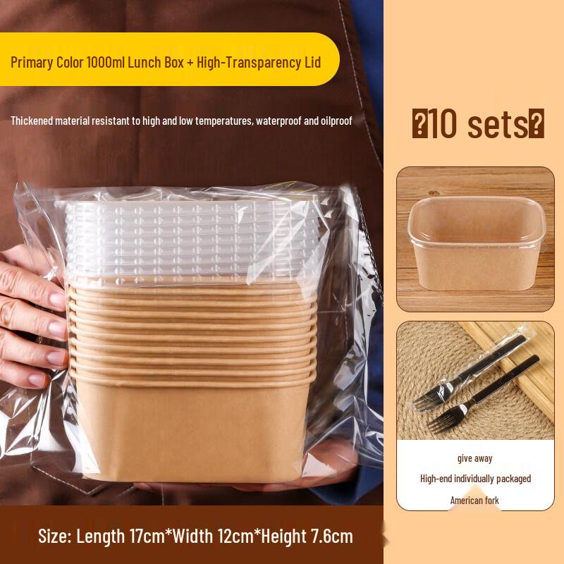 Disposable Rectangular Paper Picnic & Bento Box with Lid
