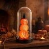 Year-round Decor Halloween Decoration Lighted Skeleton In Clear Dome Cloche with Warm Glow Battery Unique Gift Operated Skull Lamp Witch Hat