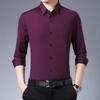 New One Piece Spring and Autumn New Men's Business Casual Long-sleeved Shirt Youth Shirt