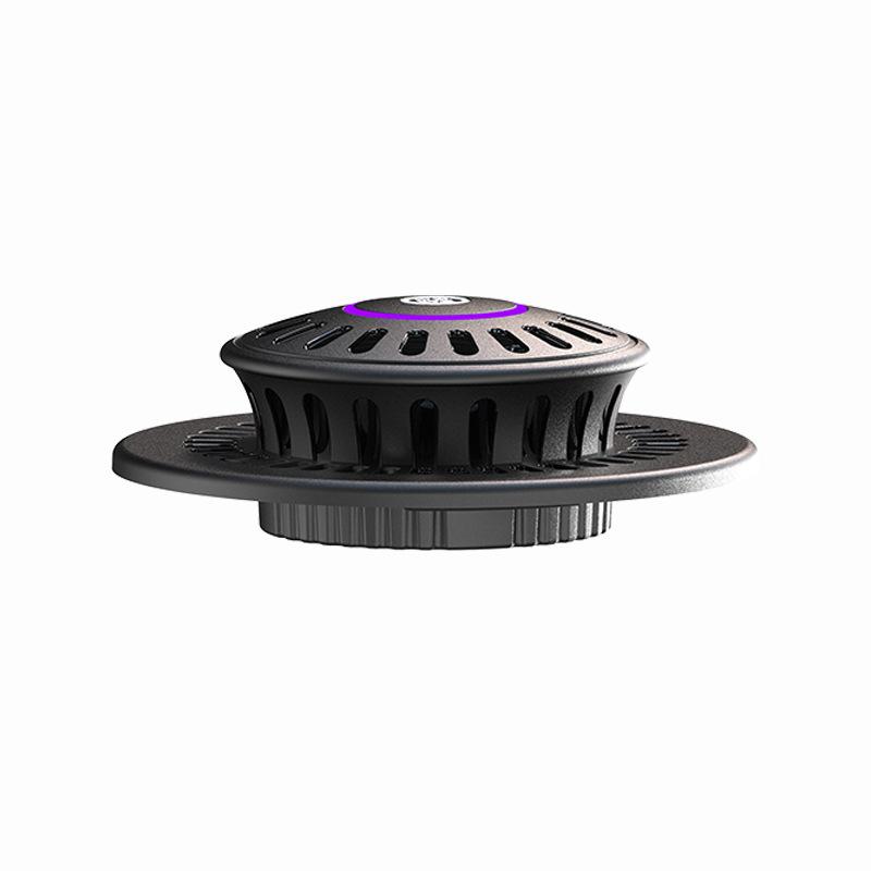 D2 Miniaturgarten Glaspflanzen-Terrarium mit Wachstumslampe Sukkulenten Moos Landschaft Glas-Terrarium Gartengeschenk für Pflanzenliebhaber