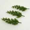 Exquisite DIY Green Pine Cypress Plastic Plant Props for Photography & Jewelry Decoration