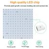 AC85-240V 2000W/3000W LED Grow Light For Indoor Grow Tent Plants Growth Light Panel Full Spectrum Phyto Lamp