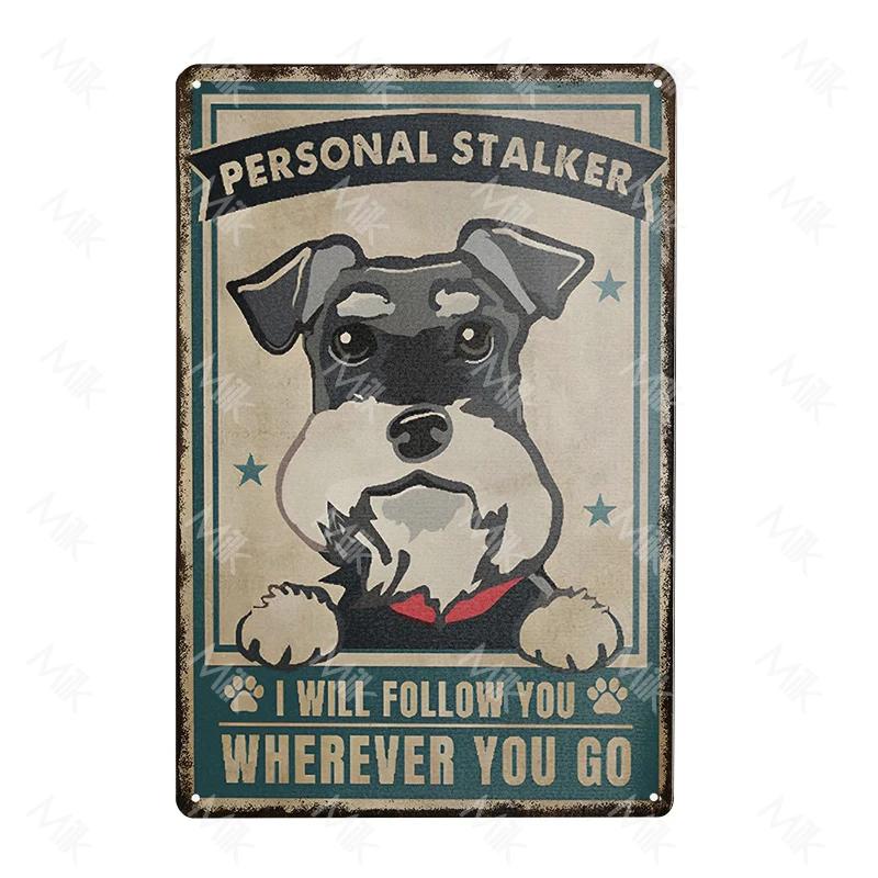 Металлическая табличка Собака Шнауцер Такса Кофейная металлическая пластина Винтажный стиль Настенные наклейки Металлический плакат Мультяшный Сладкий дом Наружный декор 20x30cm（7.8x11.8inch）