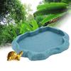 Resin   Reptile Rock Food and Water Dish Feeder Bowl for Tortoise  (Green S)