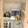 Nice Triangle Animal Pet Cat Rat Rabbit Pee Potty Trainer Litter Tray Toilet Corner For Small Pet Guinea Pig Toilet Litter Box