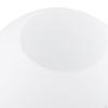 Glass Globe Lamp Shade Multiple Specifications Light Fixture Replacement 2.56-2.76 Inch Fitter