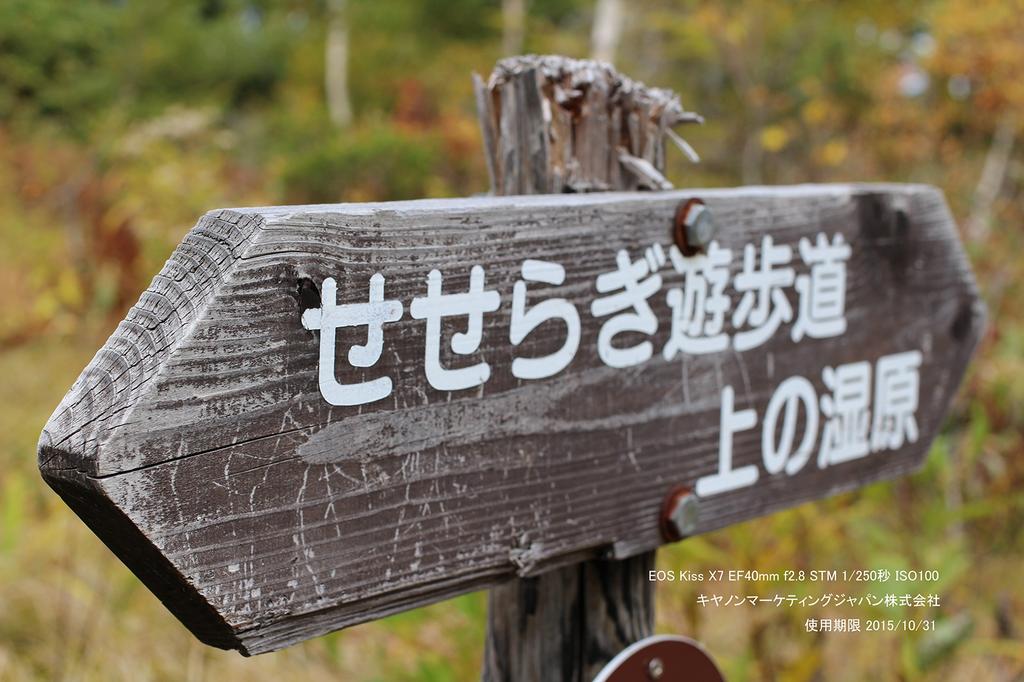 Canon Digital SLR Camera EOS Kiss X7 Lens Kit IS STM Included EF-S18-55mm F3.5-5.6 KISSX7-1855ISSTMLK