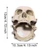 Realistic Gothic Skull Key Holder Multifunctional Halloween Resin Craft  Bedroom