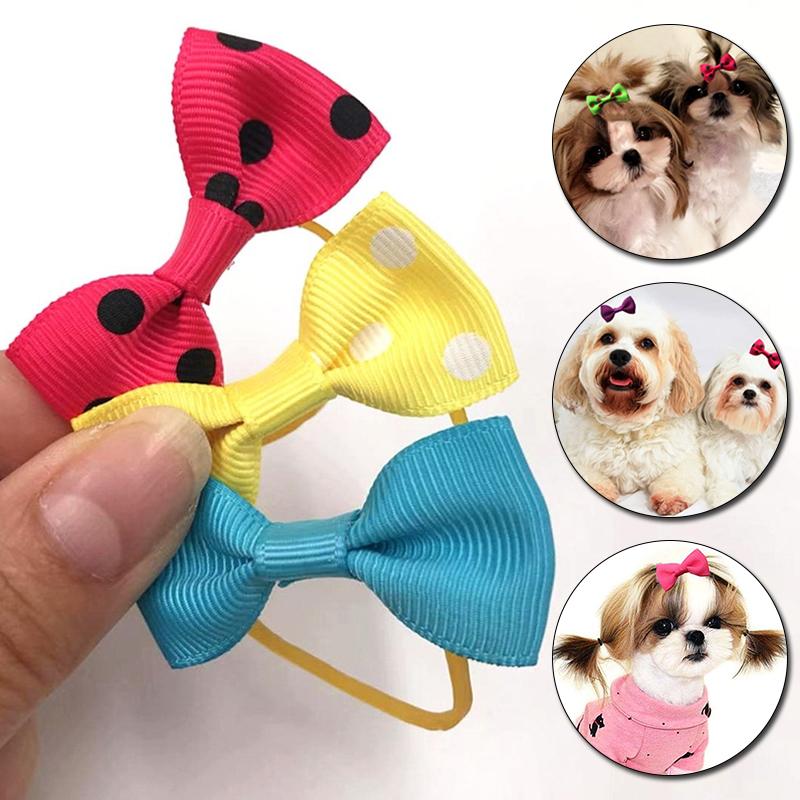 creative grooming supplies