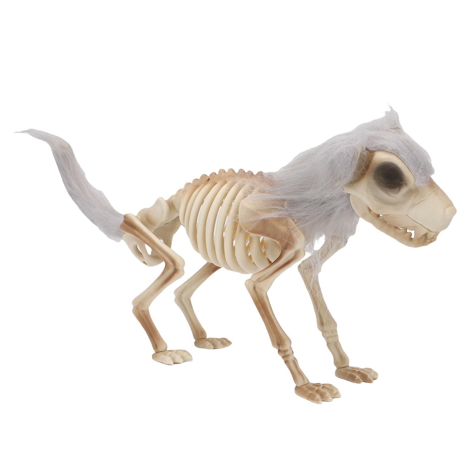 

Standing Dog Skeleton Halloween Prop for Decor