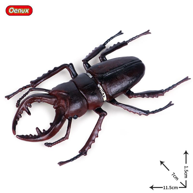 Oenux Wild Insect Animals Model Mantis Grasshopper Butterfly Bee Beetle Action Figures PVC Science Education Collection Kid Toy
