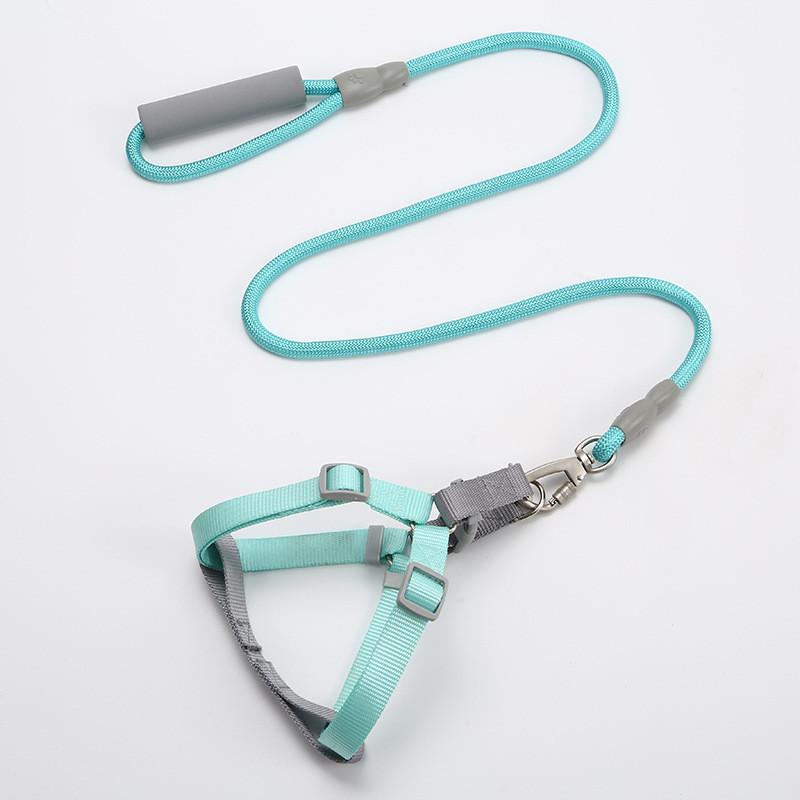 

Pet Dog Leash With Macaron Color Chest Harness For Small To Medium Dogs Wide 0.6cm