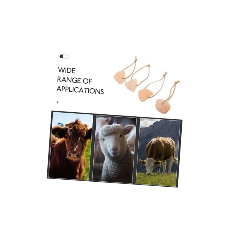 GRIRIW 4-Pack Animal Salt Blocks (Goat Salt, Horse Salt, Rabbit Salt, Livestock Salt, Salt Rick, Horse Salt, Animal Salt, Salt Holder, Rock Salt,