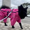 Waterproof Pet Dog Jacket Reflective Rain Dog Coat Red Dog Jumpsuits And Rompers Autumn Winter Dog Raincoat For Large Dogs