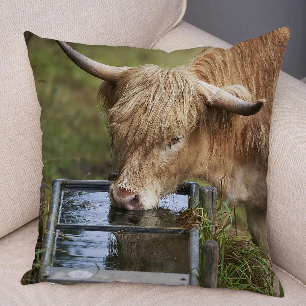 Scotland Kyloe Pillow Case Decor Wild Cow Colorful Animal Print Pillowcase Soft Short Plush Cushion Cover for Home Sofa 45x45cm