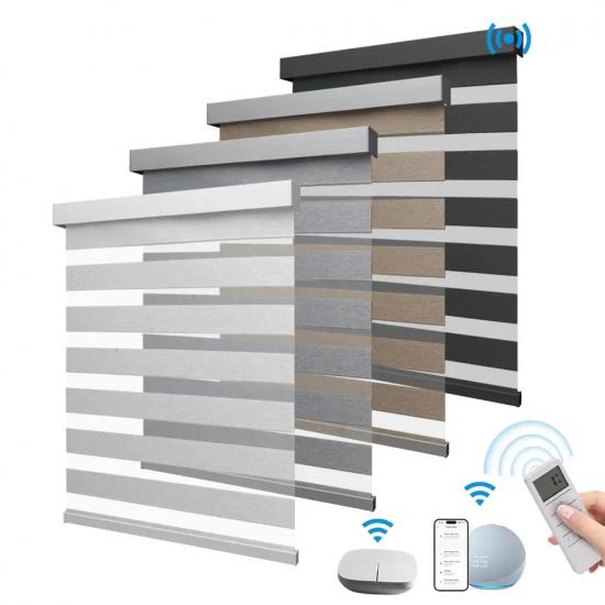 Customized Blackout Smart Tuya Google Wifi Control Exchangeable Motor Dual Layer Roller Zebra Blinds For House
