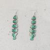 5Pairs Multi Segment Salmon Fish Earrings Hook Piercing Beach Drop Earrings  Party