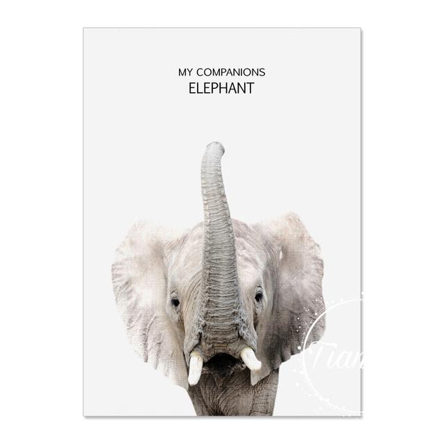 Animal Decoration Sheets Picture Wall Art Poster Children's Canvases Room Paintings For Nursery Decorative Prints Wall Posters No Frame