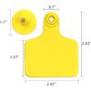 Cattle Ear Tags Blank for Cattle Cows Sheep Pig Goats, 100 Pieces TPU Precision Animal Identification Blank Ear Tags (Yellow)