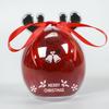 Clear Acrylic Christmas Ornament: Creative Hanging Ball for Holiday Decor or Preserved Flowers