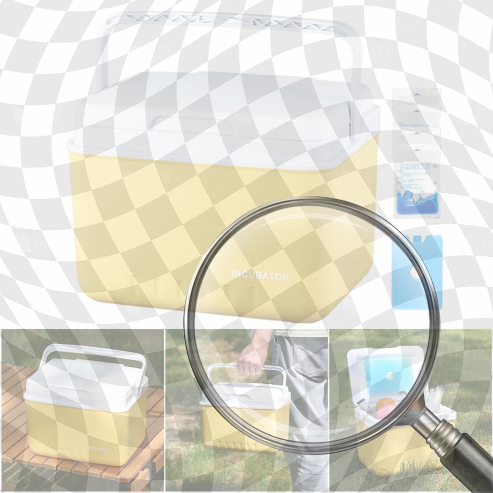 

6L Cooler Box Portable Camping Refrigerator Incubator Insulated Car Ice Bucket Heat Preservation Camping BBQ Equipment China Mainland