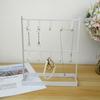 2-Layer Earrings Necklace Holder Stand Jewelry Bracelet Display Hook Rack Shelf