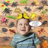 Insect Models & Figurines Set (2459 Pieces) - Realistic Resin Insect Toys, Mini Animal Figurines, Popular Animal Models, Ornaments, Gifts, Kids Toys,