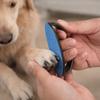 Wear Resistant Dog Nail File Board Replaceable Sandpaper Puppy Nail File  Dog Paw Grinding