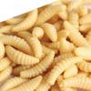 50 Luminous Bionic Soft Baits: Mealworms, Maggots & Earthworms, Fishy Musk Scent