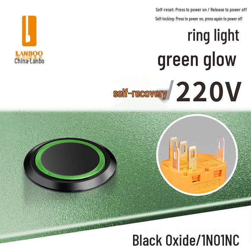 Lanbo 22A Stainless Steel Illuminated Self-Locking Momentary Push Button Elevator Switch