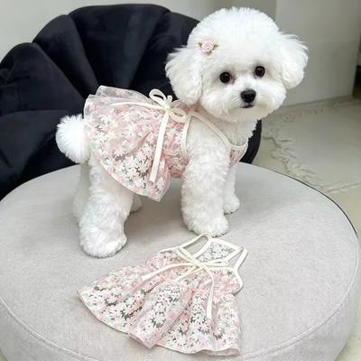 Roupa e sapatos – Vestidos para cães