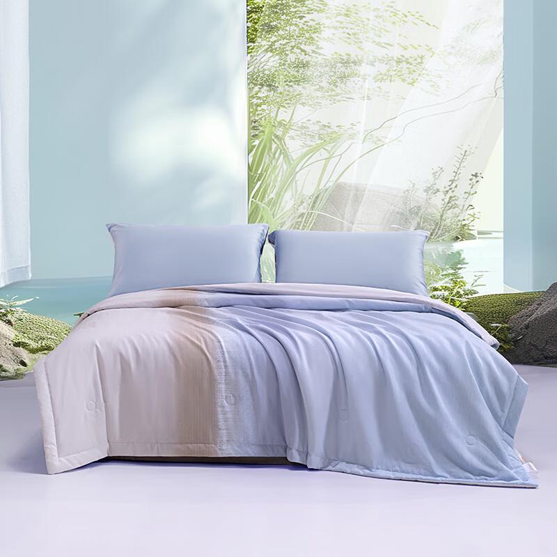 Mercury Home Textiles L-Theanine Washable Summer Quilt