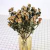 Small Dried Rose Buds for DIY Flower Arrangements and Home Decor