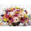 [Puzzle Life] 500 Piece 'Flower Cafe' Jigsaw Puzzle