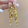 Long Rhinestone Tassel Water Droplet Dangle Earrings for Women Bohemian Style Shiny Luxury Earrings High-End Jewelry Accessories